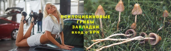 хмурый Карталы