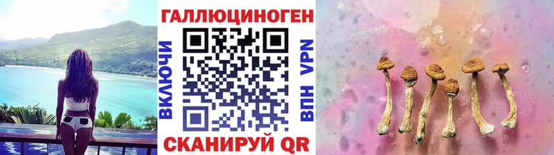 где найти наркотики  Кораблино  Галлюциногенные грибы прущие грибы 