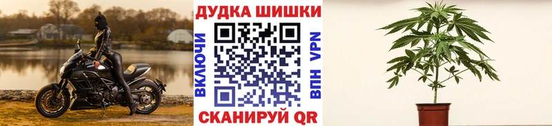 где можно купить   Кораблино  Шишки марихуана план 